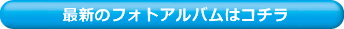 最新のフォトアルバムはこちら